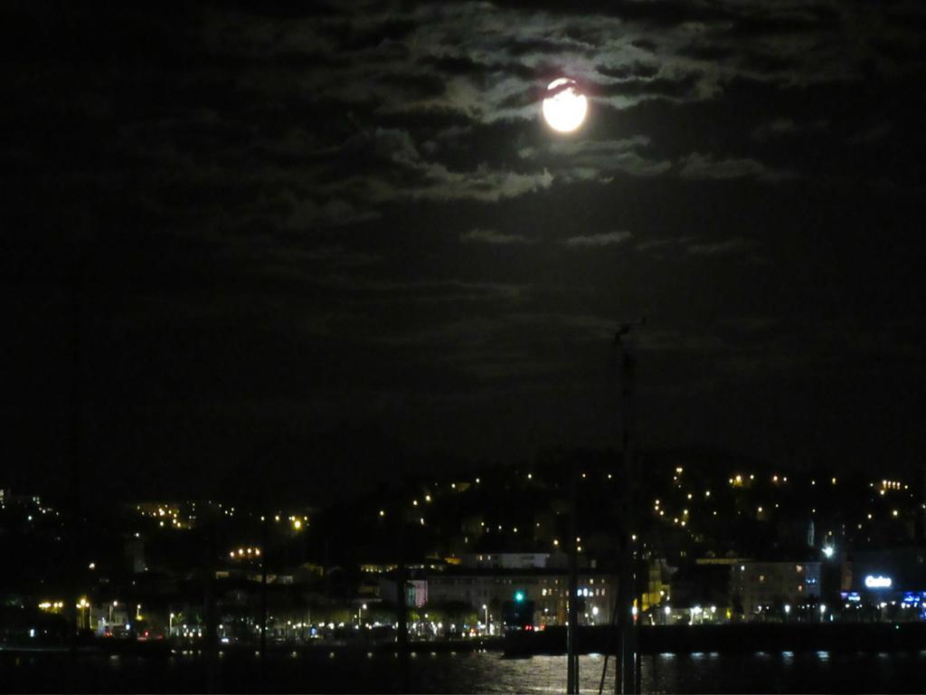 Hirondelle Port Fréjus